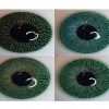 Ярко-зеленые контактные линзы с рисунком 1 шт 2771