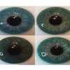 Зеленые контактные линзы 1 шт 2725